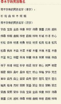 帶木的名字|带木字旁的宝宝名字200个